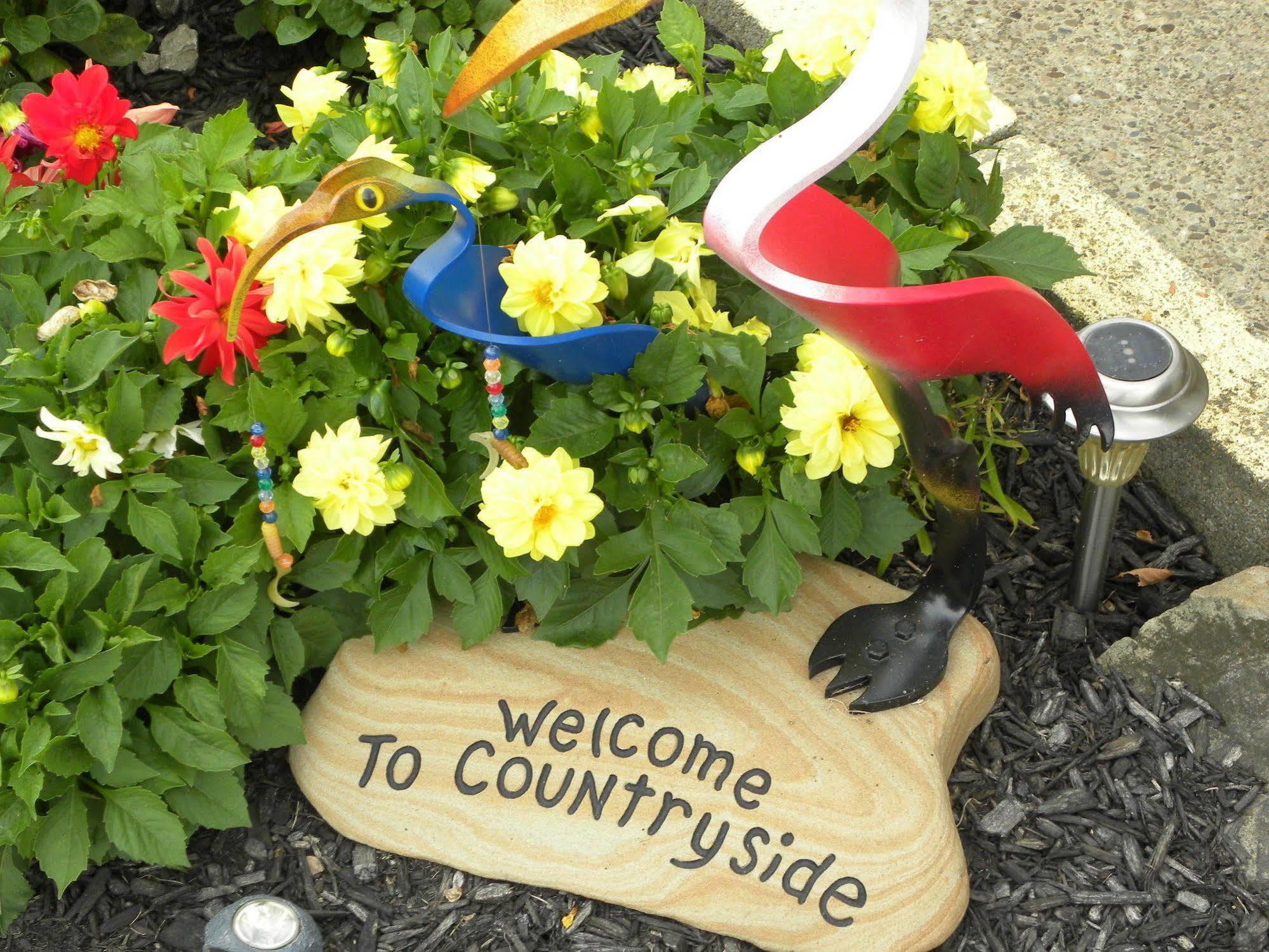 Appartement Countryside Campground à Mogadore Extérieur photo